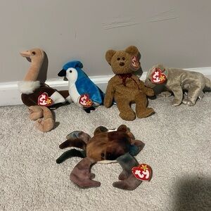 Set of five beanie baby collection all with tags attached